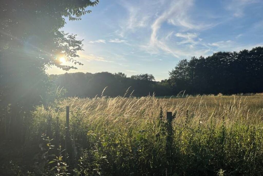 Photo of Others in Shincliffe