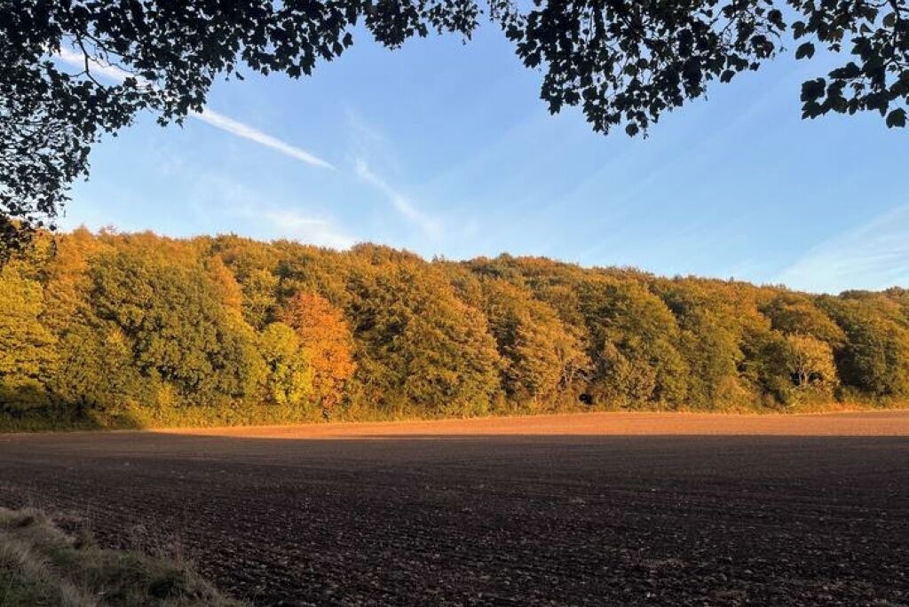 Photo of Others in Shincliffe