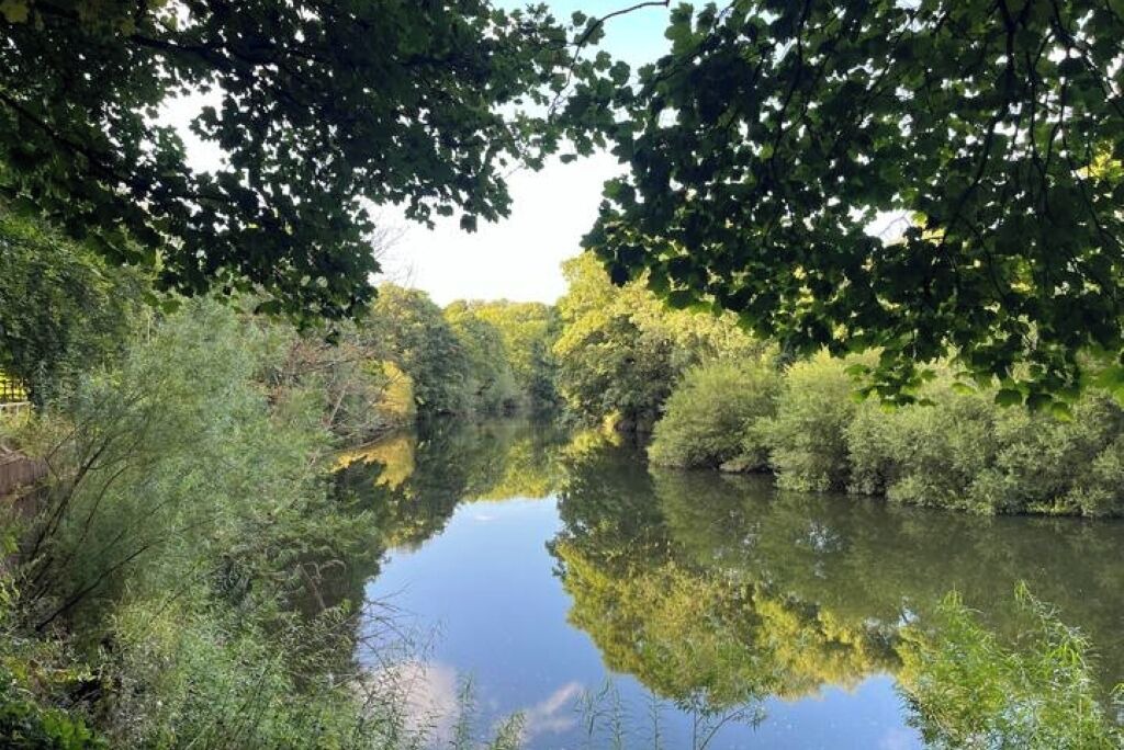 Photo of Others in Shincliffe