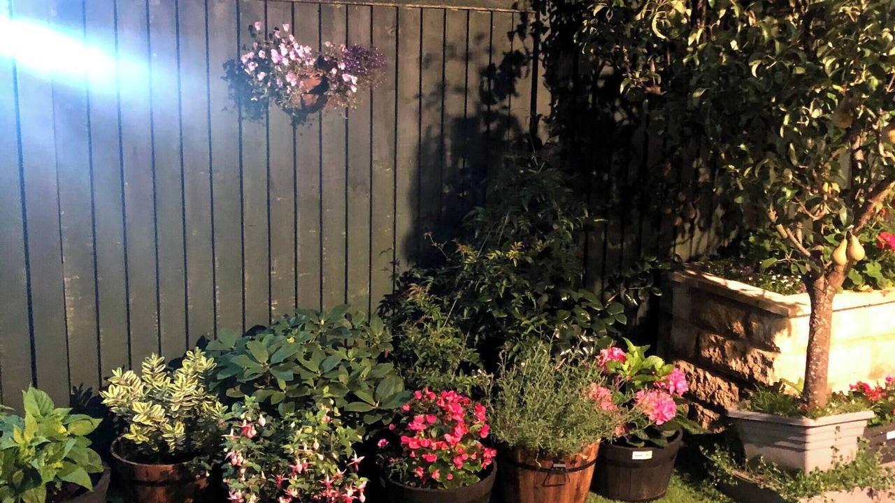 Photo of Outdoor in Shipley