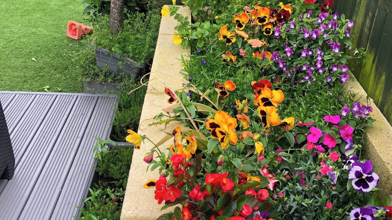 Photo of Outdoor in Shipley