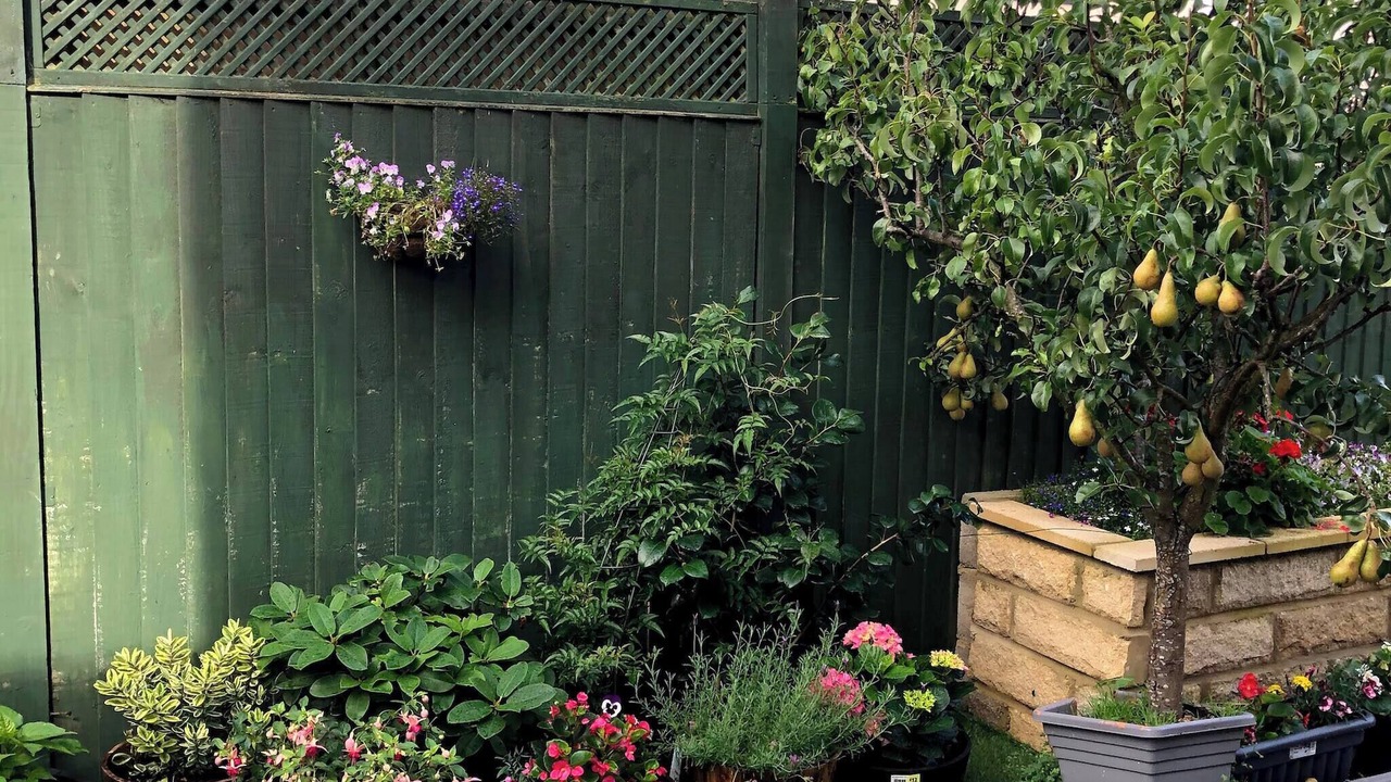 Photo of Outdoor in Shipley