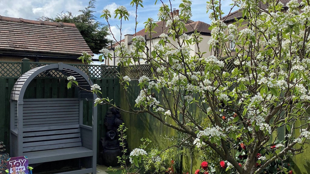 Photo of Outdoor in Shipley