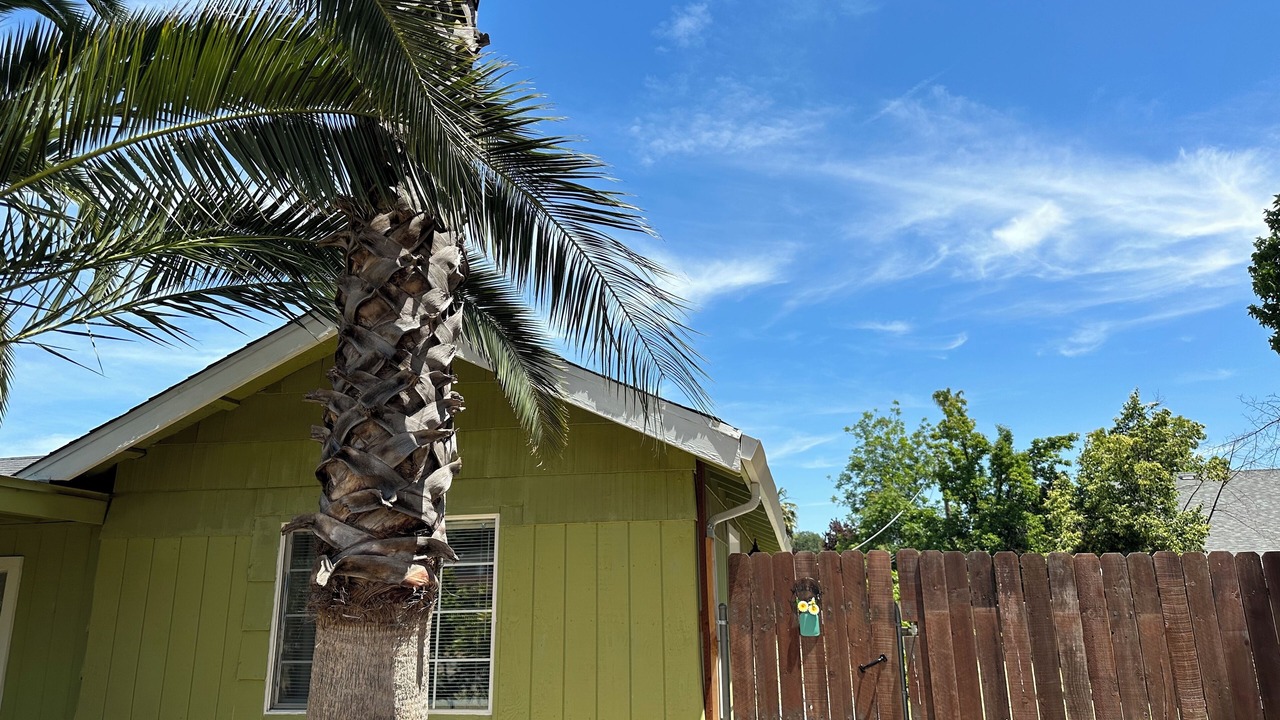 Photo of Outdoor in Arden-Arcade