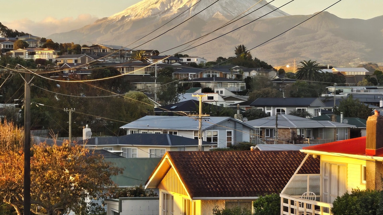 Photo of Others in New Plymouth