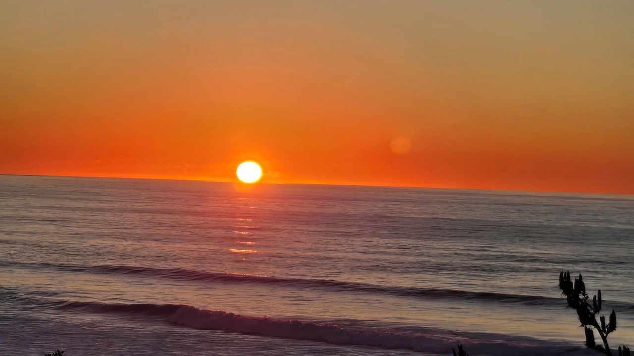 Photo of Others in New Plymouth