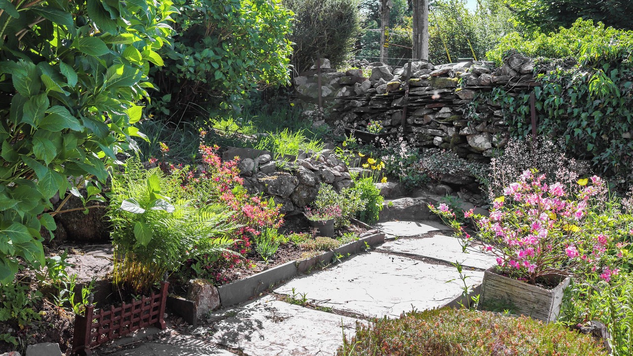 Photo of Outdoor in Rhyd Ddu