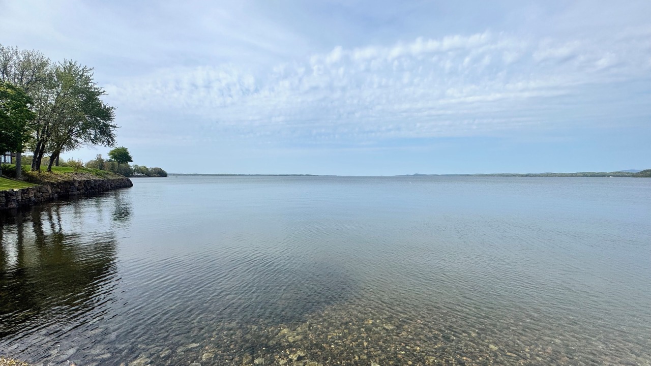 Photo of Others in Malletts Bay