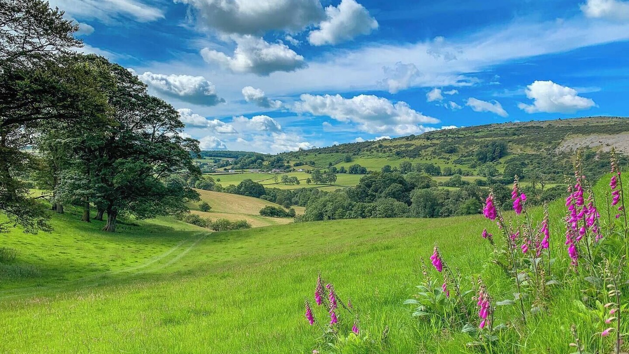 Photo of Others in Lupton