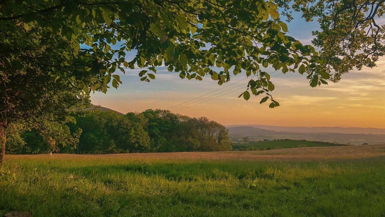 Photo of Others in Lupton