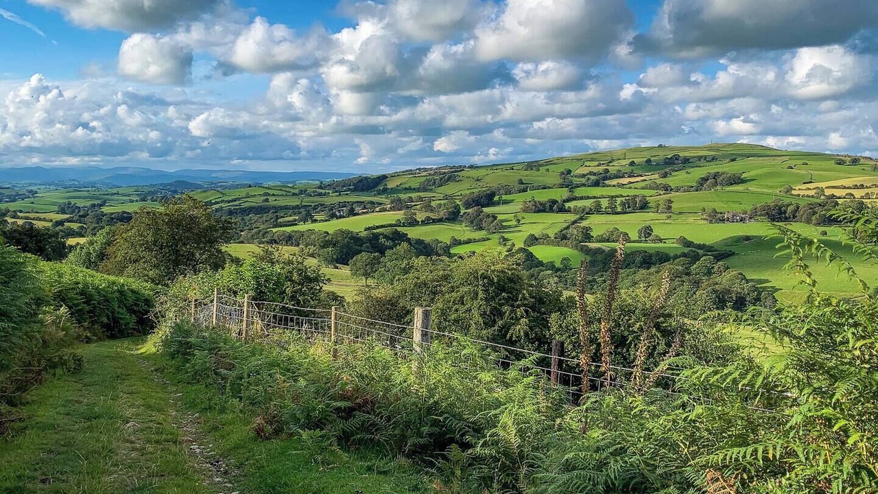 Photo of Others in Lupton