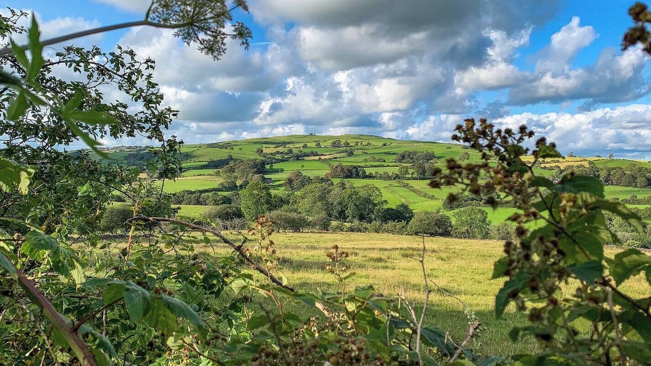 Photo of Others in Lupton