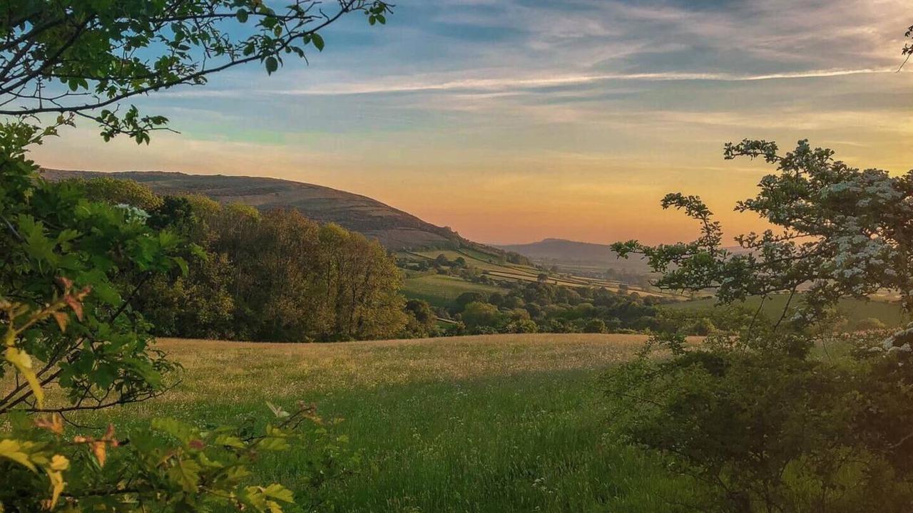 Photo of Others in Lupton