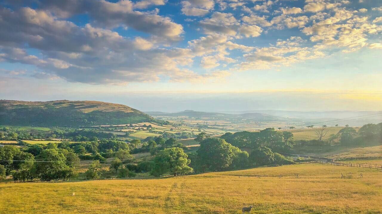 Photo of Others in Lupton