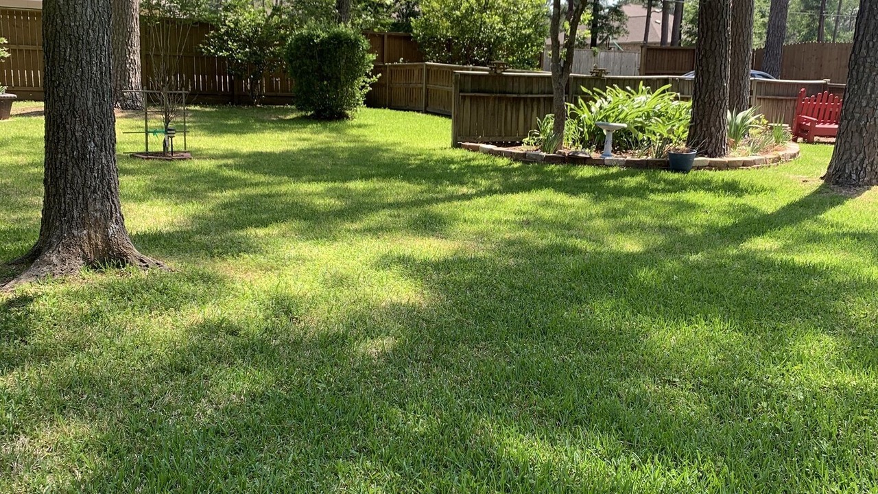 Photo of Outdoor in Magnolia