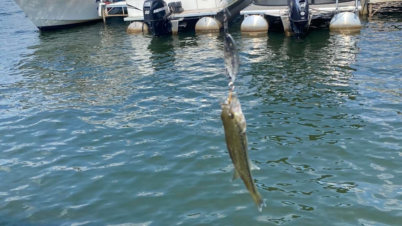 Photo of Others in Pittsfield