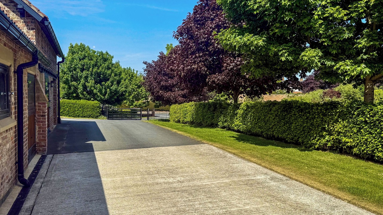 Photo of Others in York