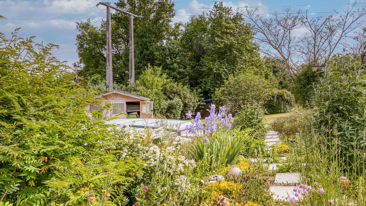 Photo of Others in Lizant