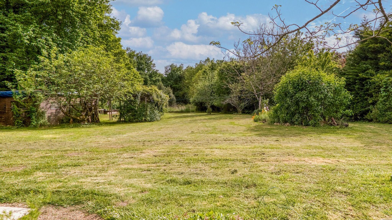 Photo of Others in Lizant