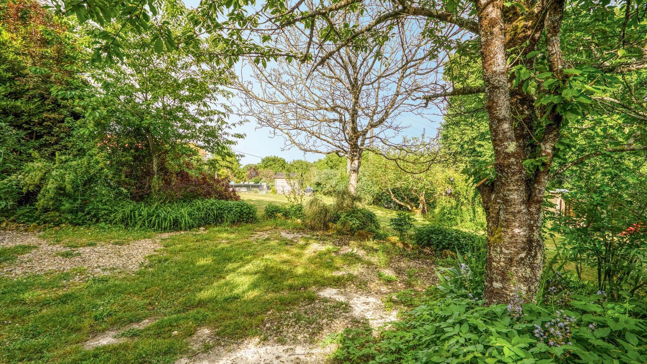 Photo of Others in Lizant