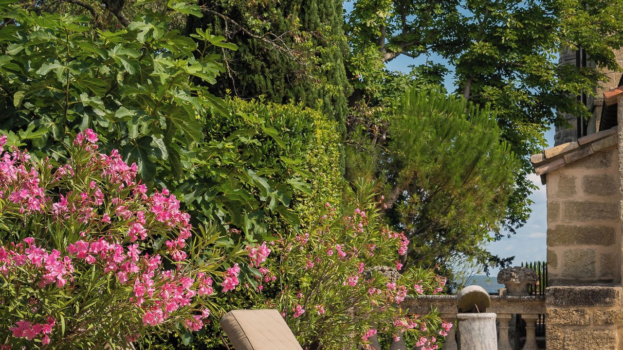 Photo of Patio Balcony in Saint-Siffret