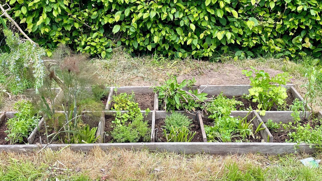 Photo of Outdoor in Epegard