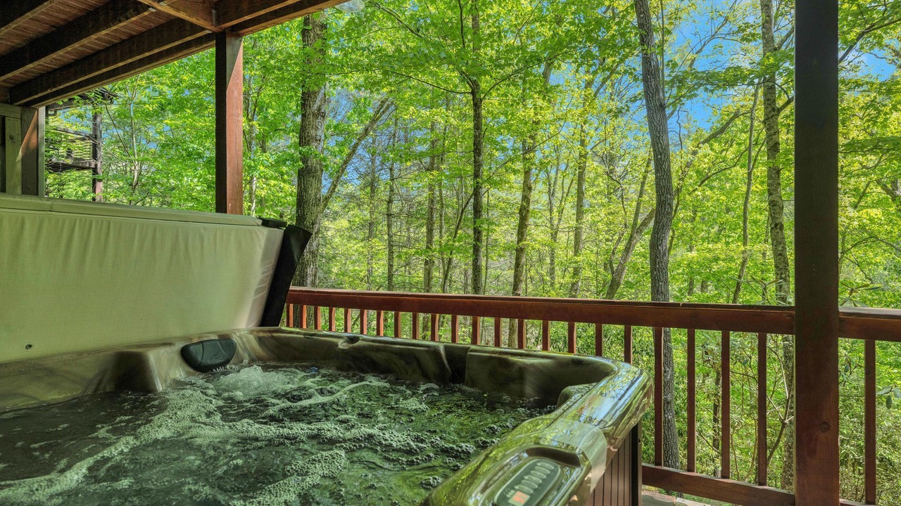 Photo of Others in McCaysville