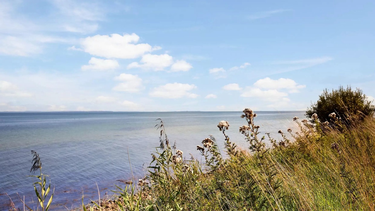 Photo of Others in Nordborg