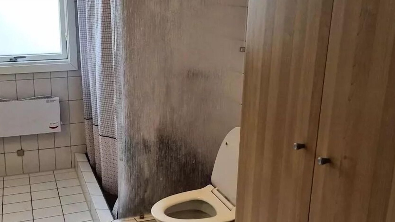 Photo of Bathroom in Hvalpsund