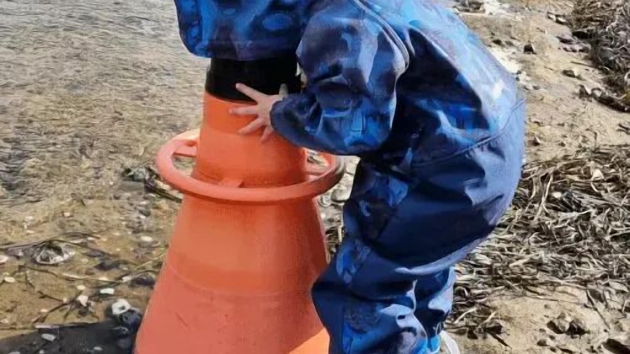 Photo of Others in Hvalpsund