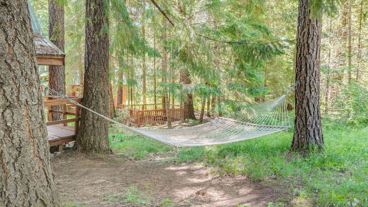 Photo of Others in Trout Lake