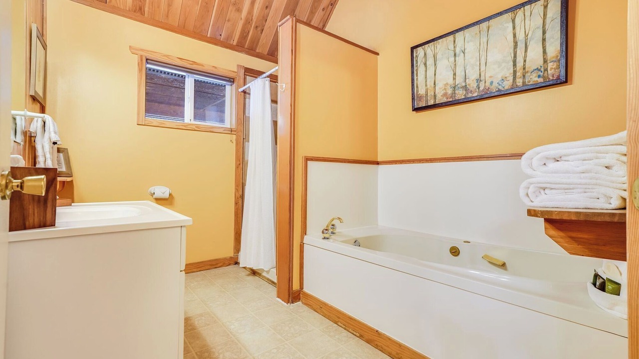 Photo of Bathroom in Trout Lake