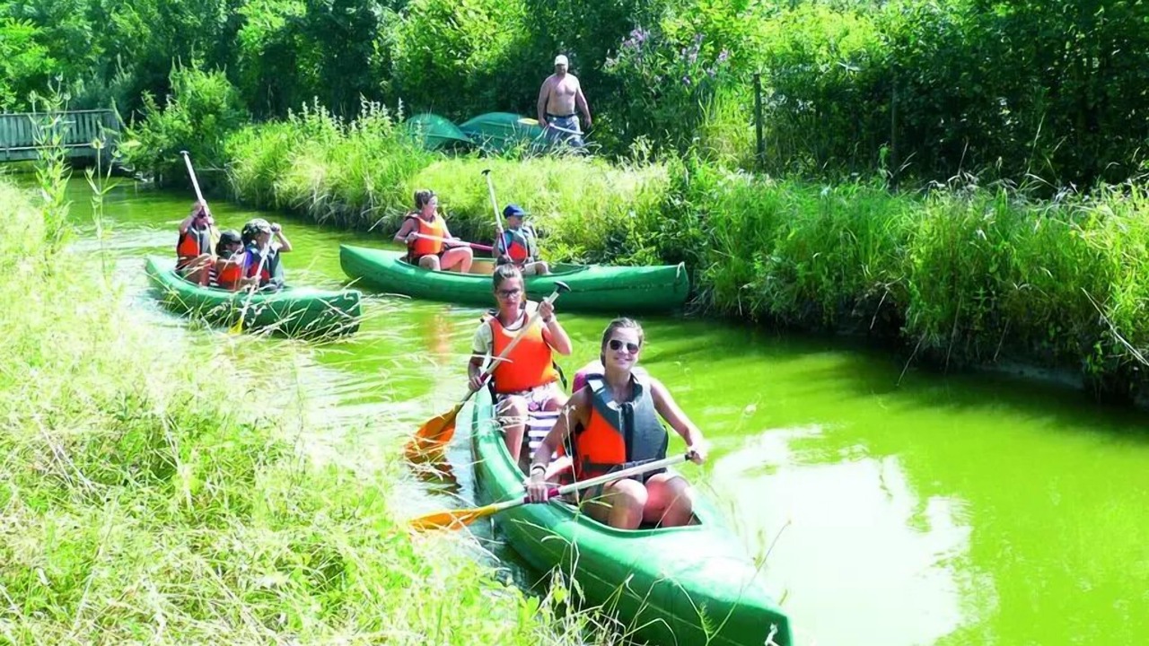 Photo of Others in Chaille-les-Marais
