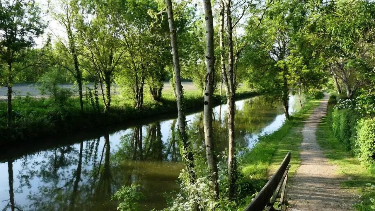 Photo of Others in Chaille-les-Marais