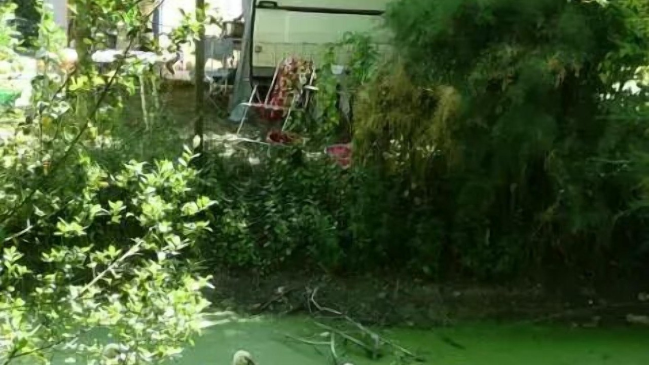 Photo of Outdoor in Chaille-les-Marais