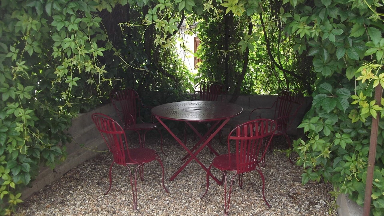 Photo of Outdoor in Seigy