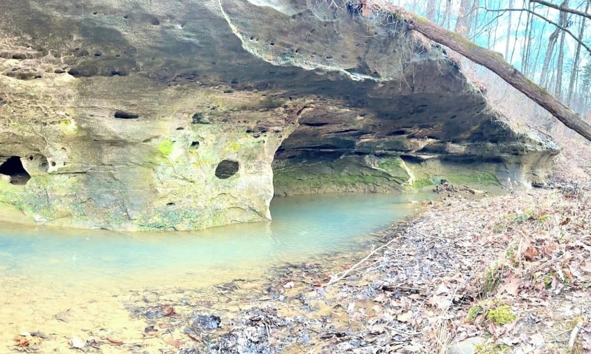 Photo of Others in French Lick