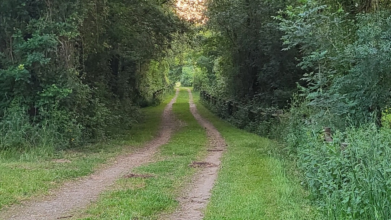 Photo of Others in Chambellay