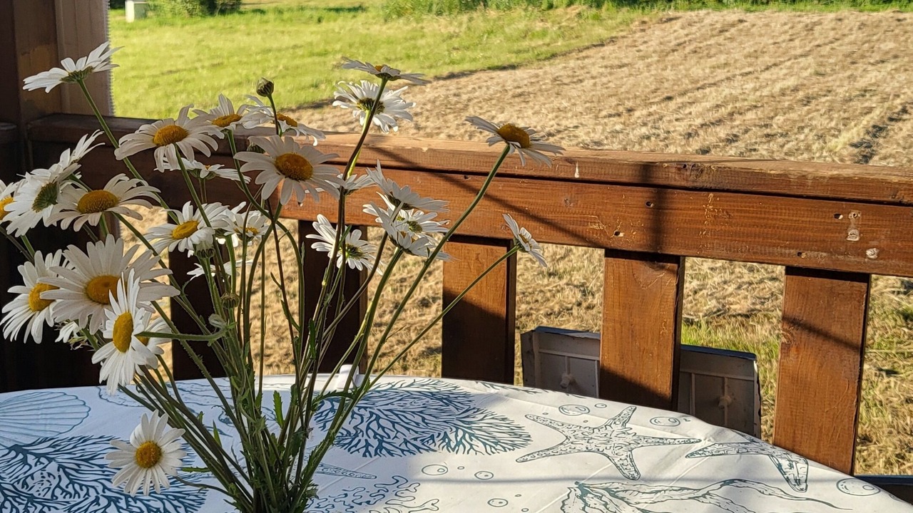 Photo of Outdoor in Chambellay