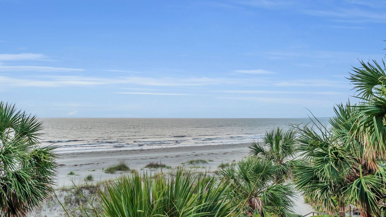 Photo of Others in Beach Lagoon
