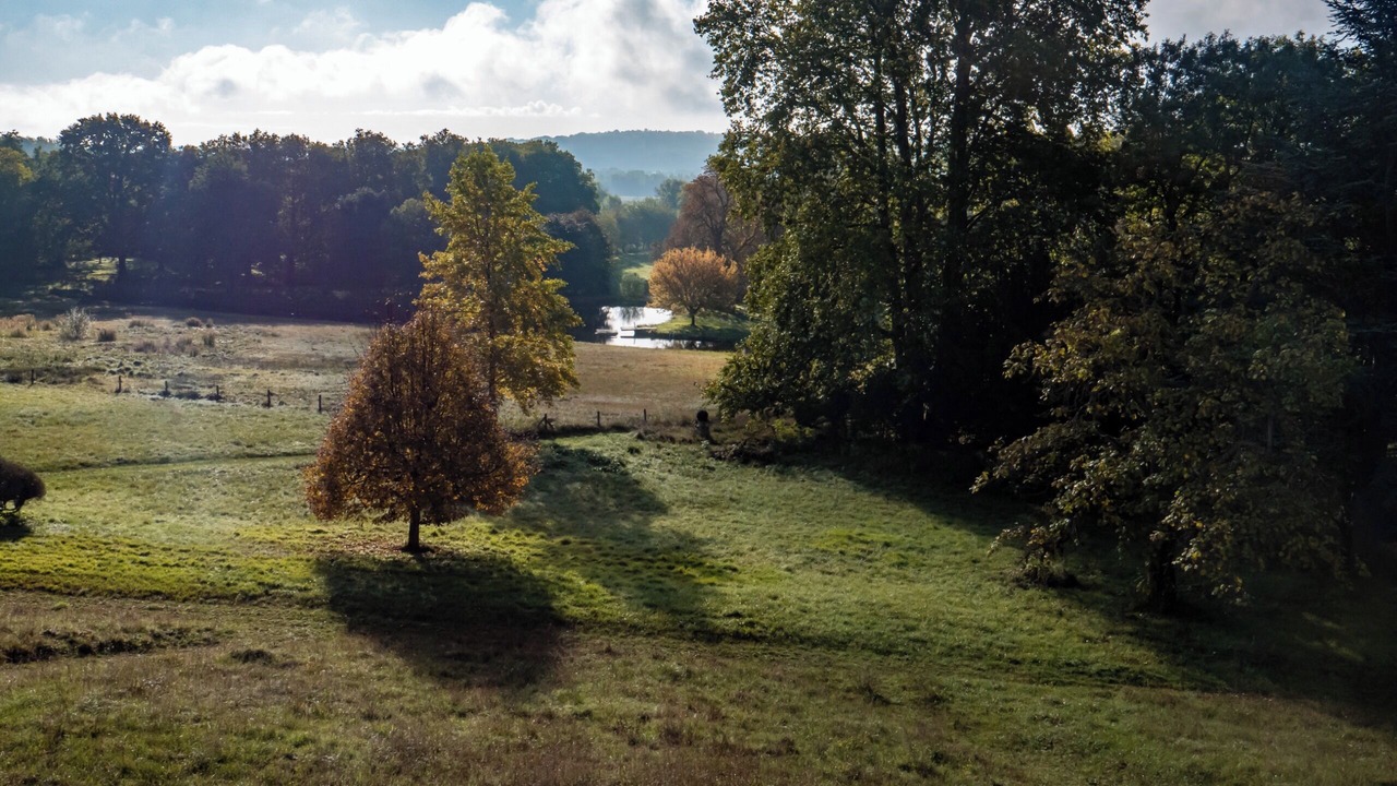 Photo of Others in Fontenoy