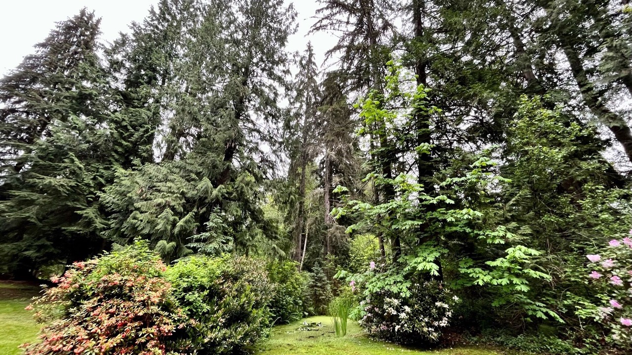 Photo of Outdoor in Lake Stevens