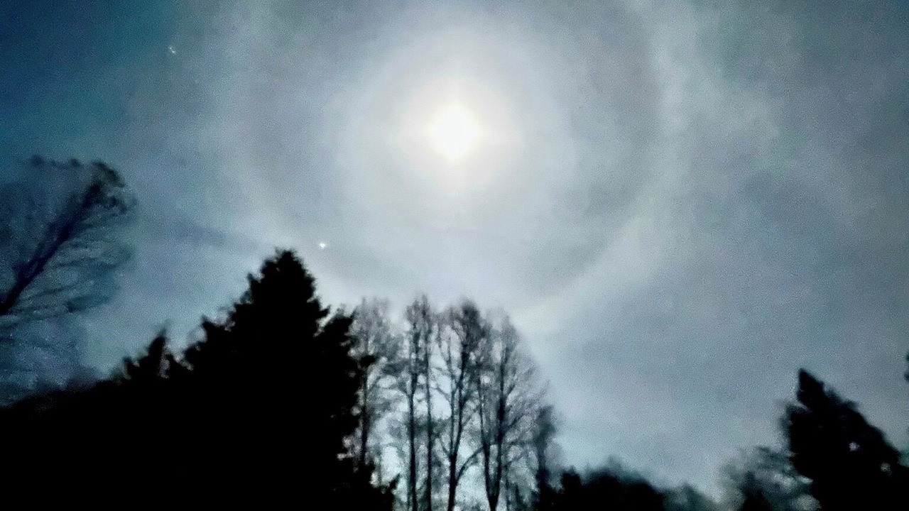 Photo of Others in Lake Stevens