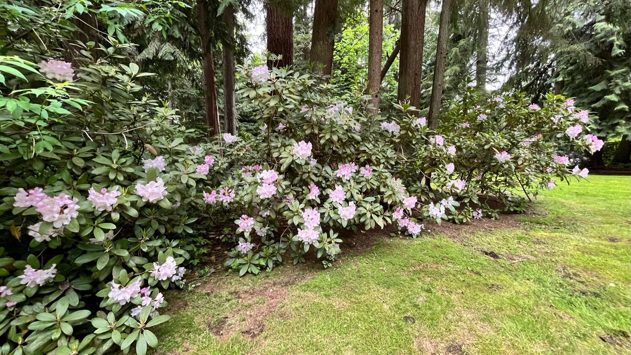 Photo of Outdoor in Lake Stevens