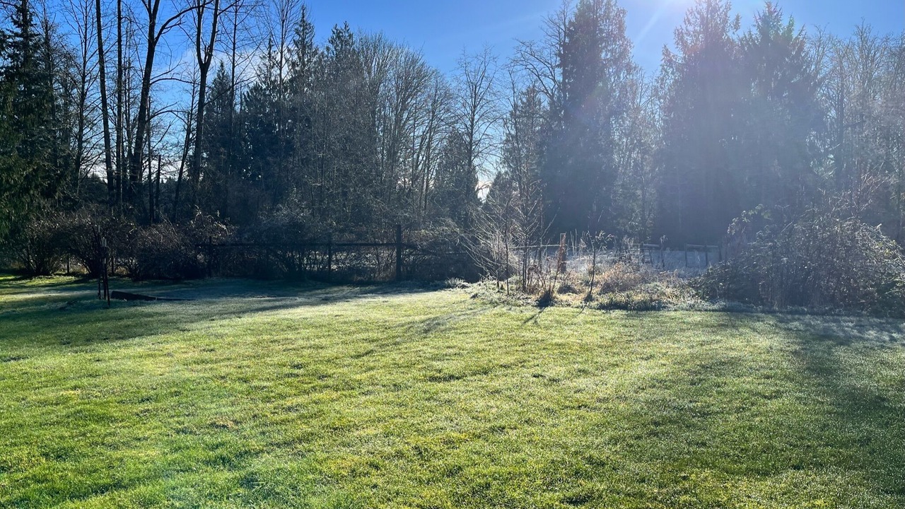 Photo of Others in Lake Stevens