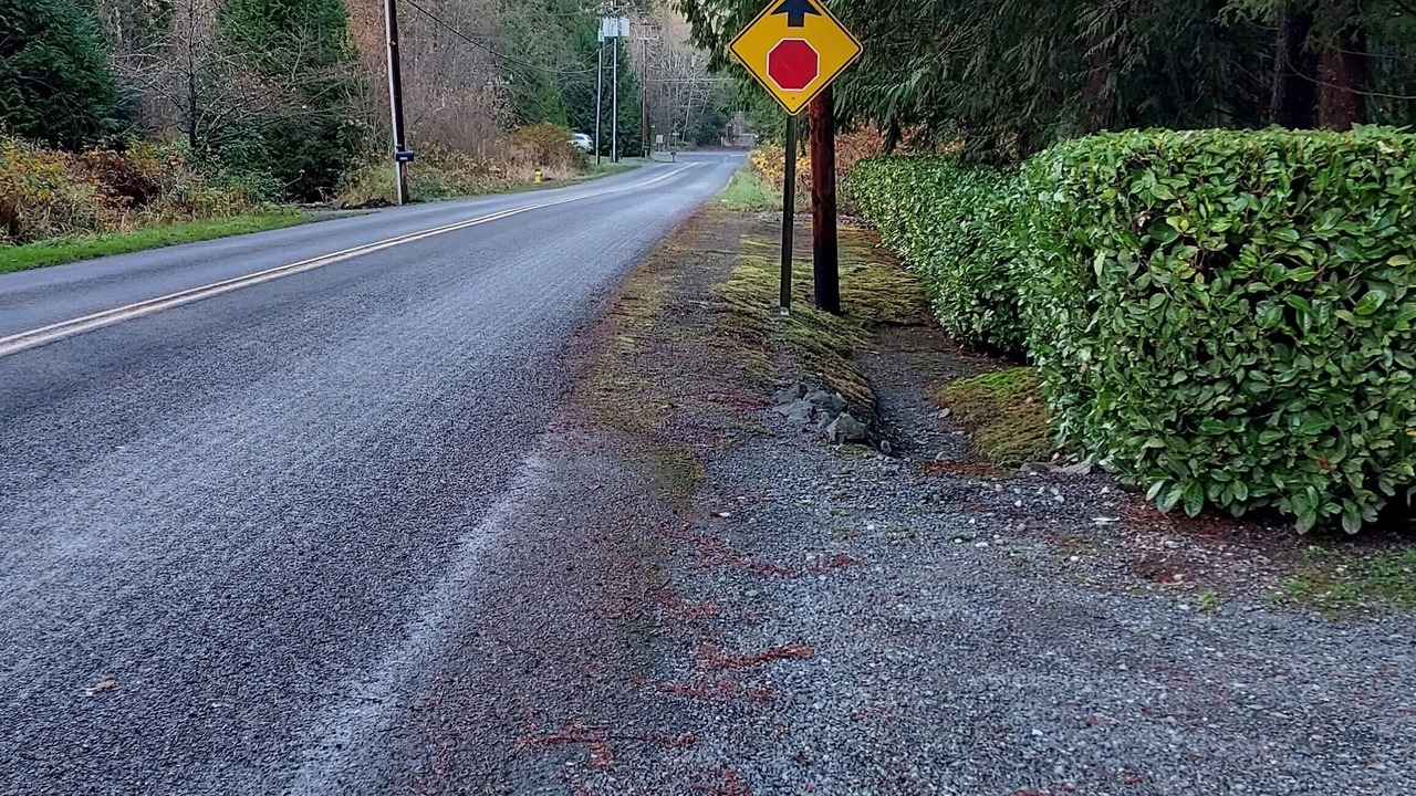 Photo of Others in Lake Stevens