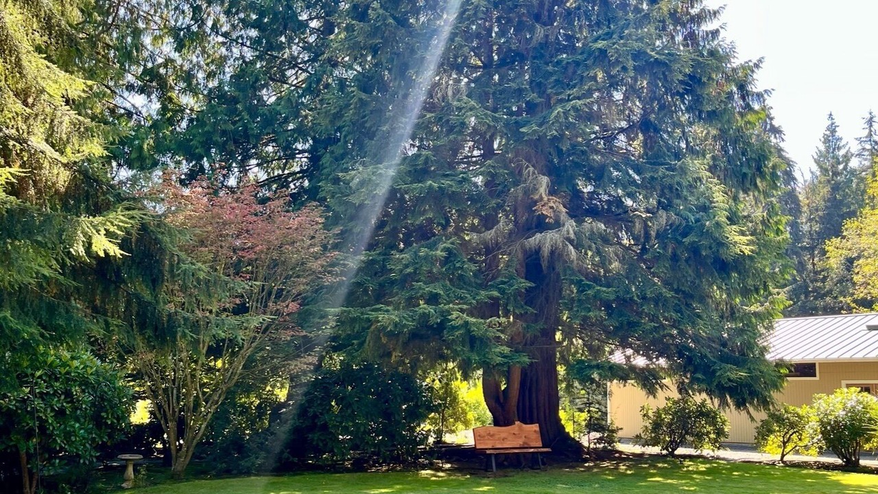 Photo of Outdoor in Lake Stevens