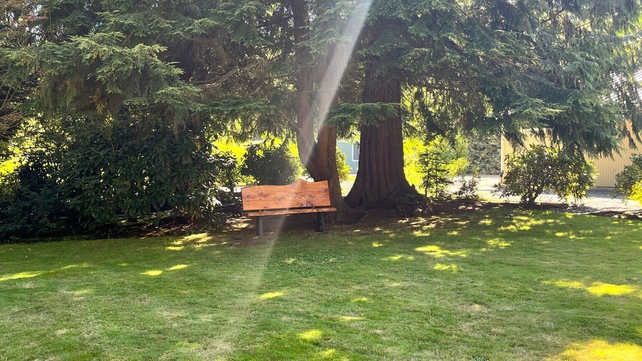 Photo of Others in Lake Stevens