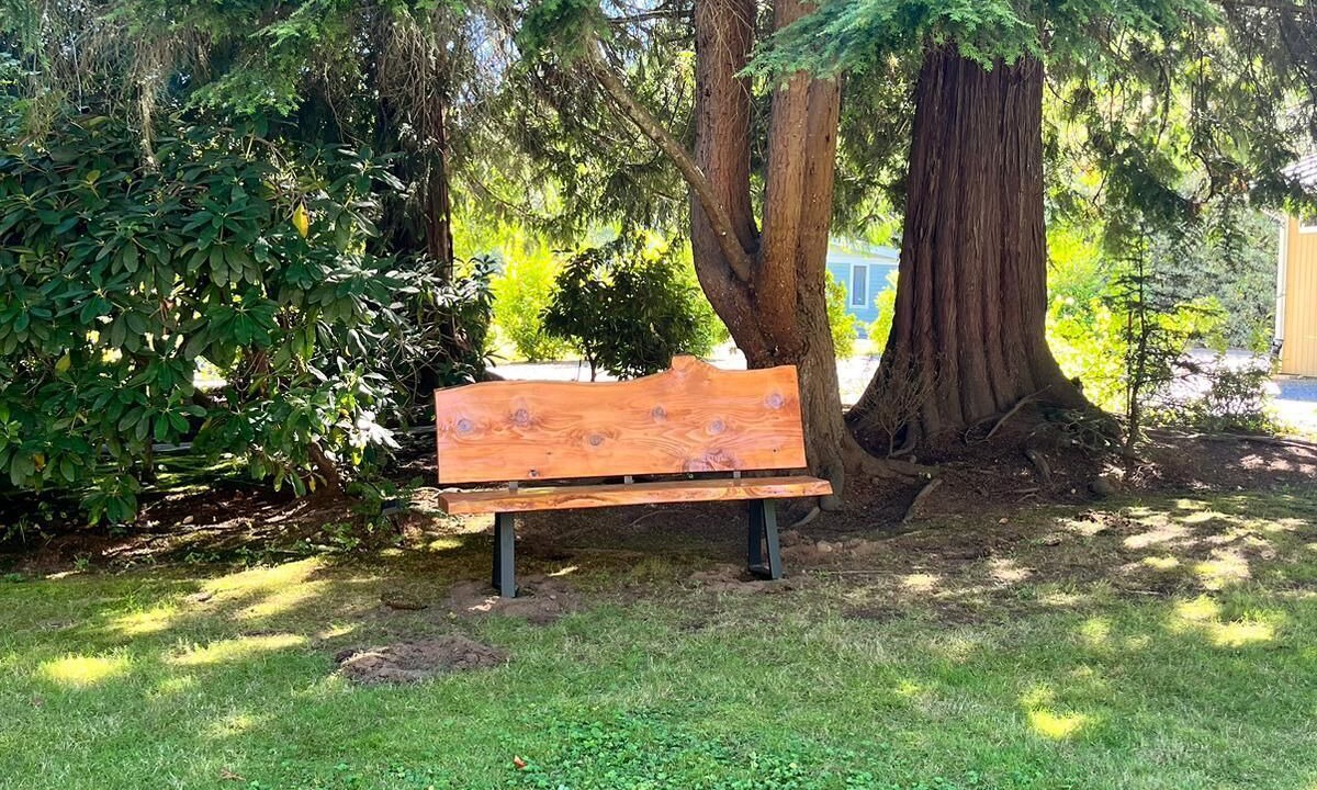 Photo of Outdoor in Lake Stevens