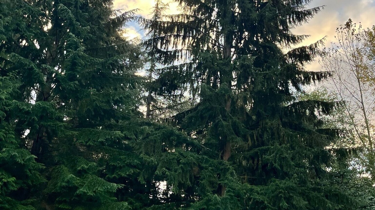 Photo of Outdoor in Lake Stevens